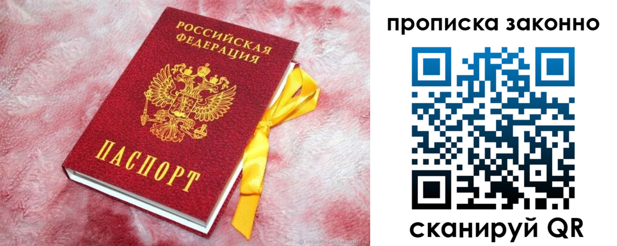 временная регистрация поиск в Волгограде
